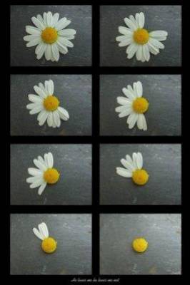 j'aime j'aime pa ......